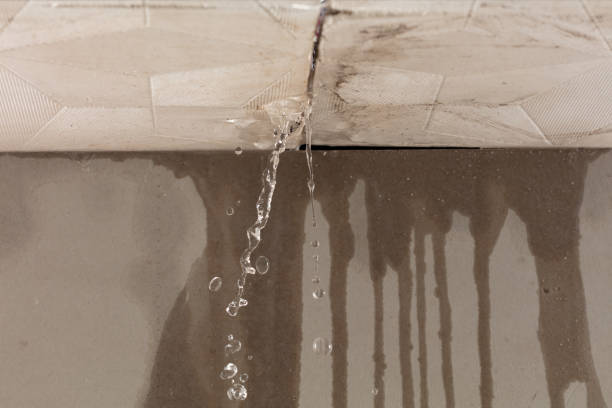 Professional Water Damage Repair technician working in Beecher, IL